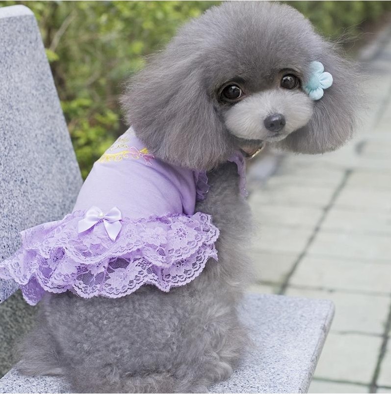 Платье «Baby» фиолетовый